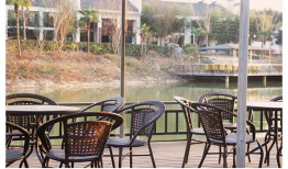 打野视频武汉公园,探寻城市绿洲中的野趣时光